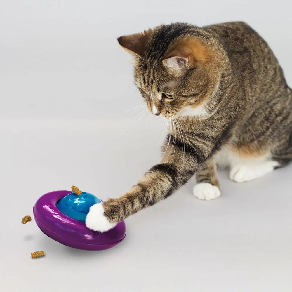 Kong Kattelegetøj Infused Cat Gyro