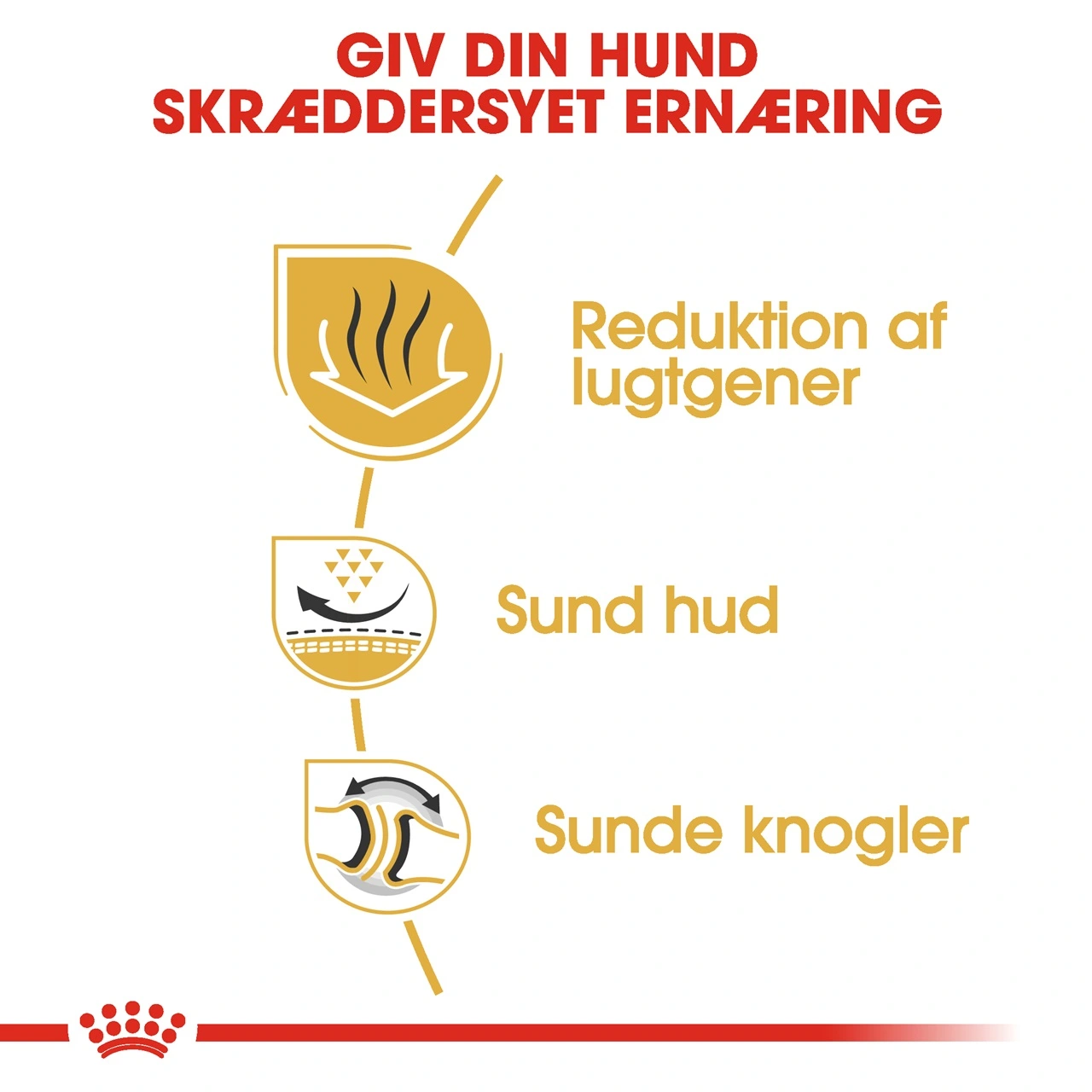 Royal Canin Bulldog Adult 12 kg - tørfoder til voksne hunde