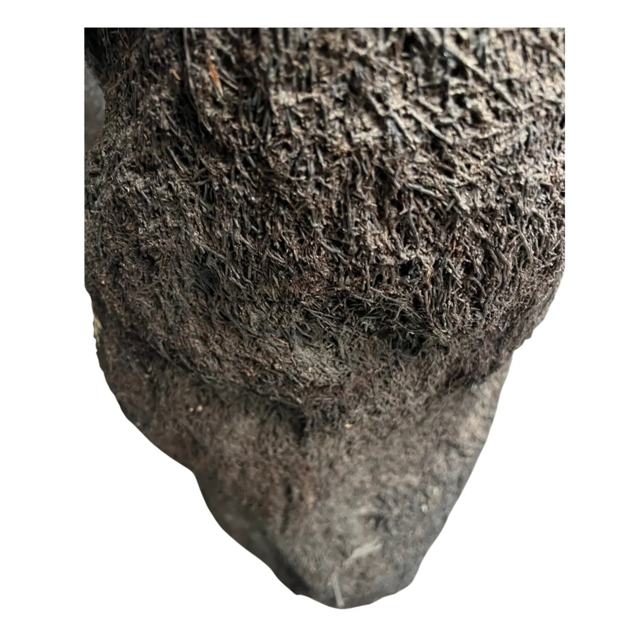 MiniZoo.dk Xaxim Træstamme Ø 30-40 cm XXL ca 1 meter