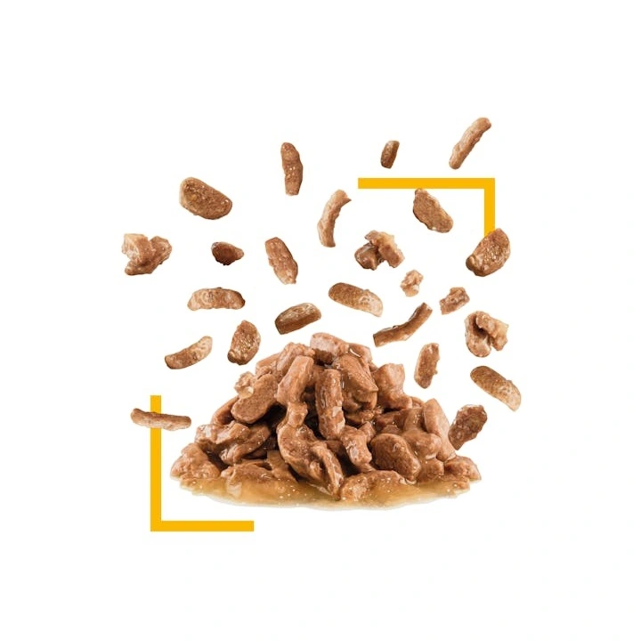 Royal Canin Kattevådmad Sensory Taste Sovs Adult