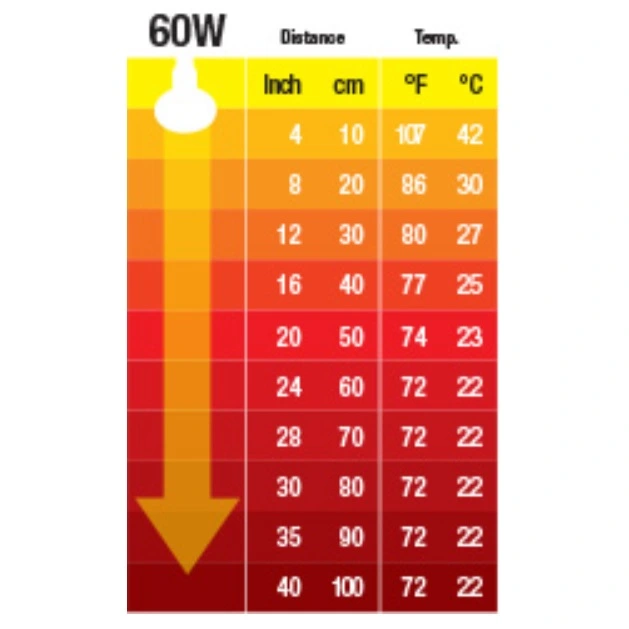 Exo Terra Kernevarmepære 60 w