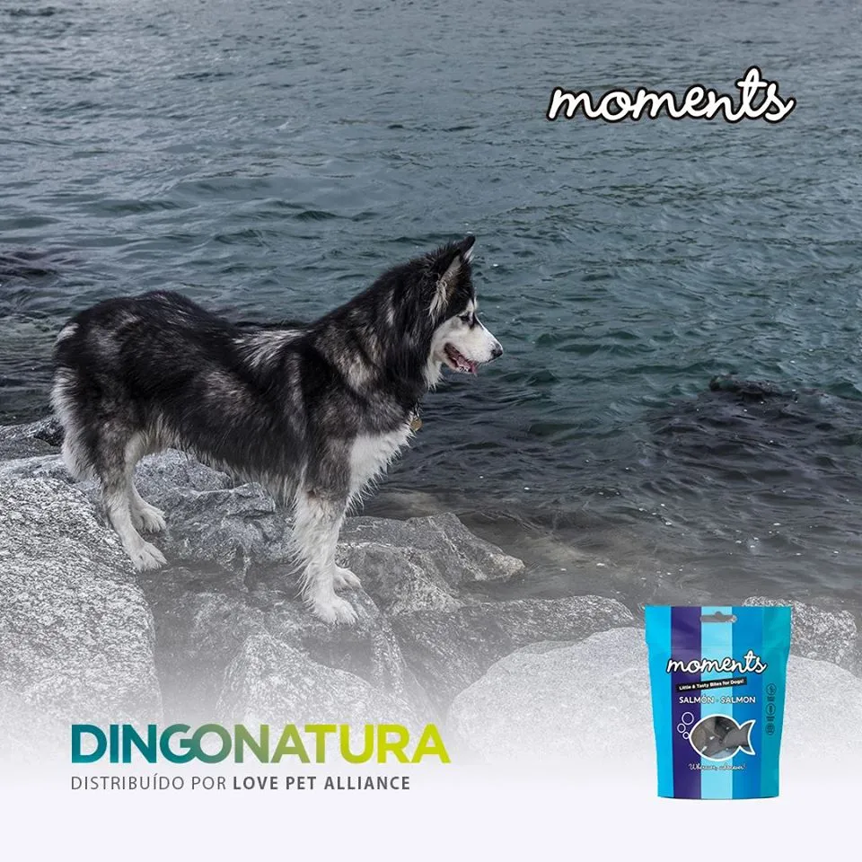 Moments hundesnack Laks 60 g - fuldfoder hundesnacks