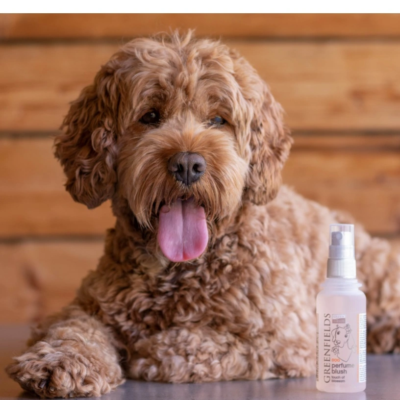 Greenfields Hunde Parfume Blush 100 ml