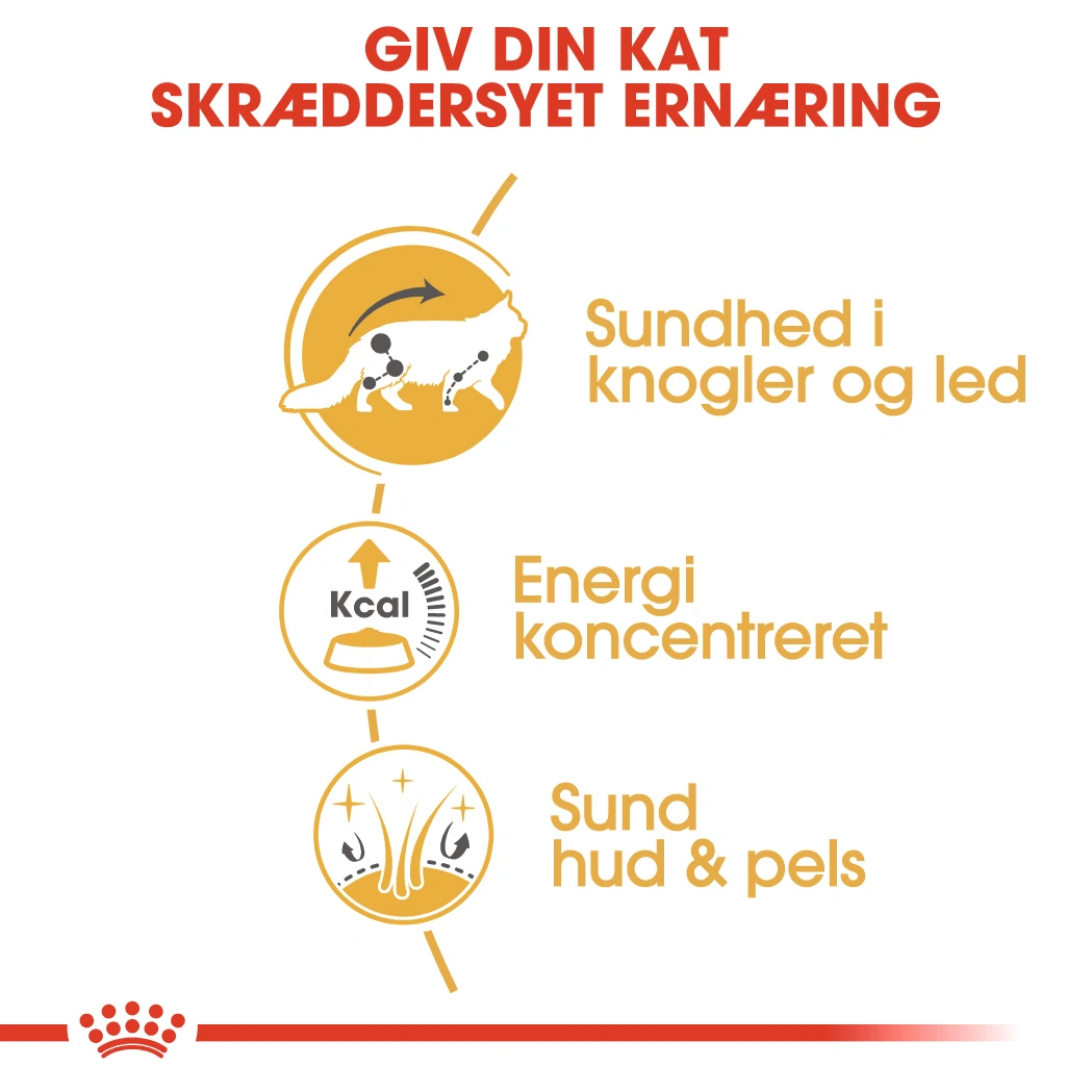 Royal Canin Maine coon Sovs - vådfoder 85 g