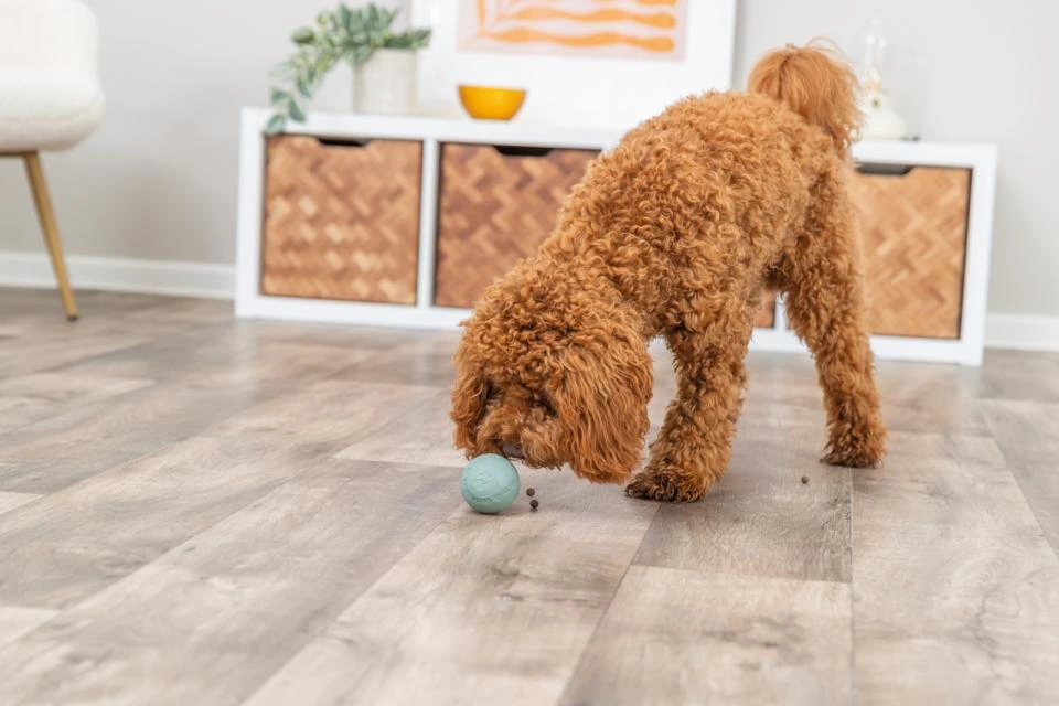 Trixie snack bold ø 6 cm - aktiveringslegetøj til hunde