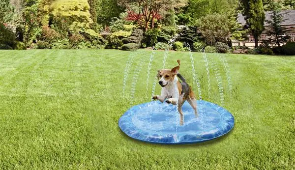 Afp Sprinklermåtte Vandlegetøj til hunde M - flydende vandlegetøj til hunde