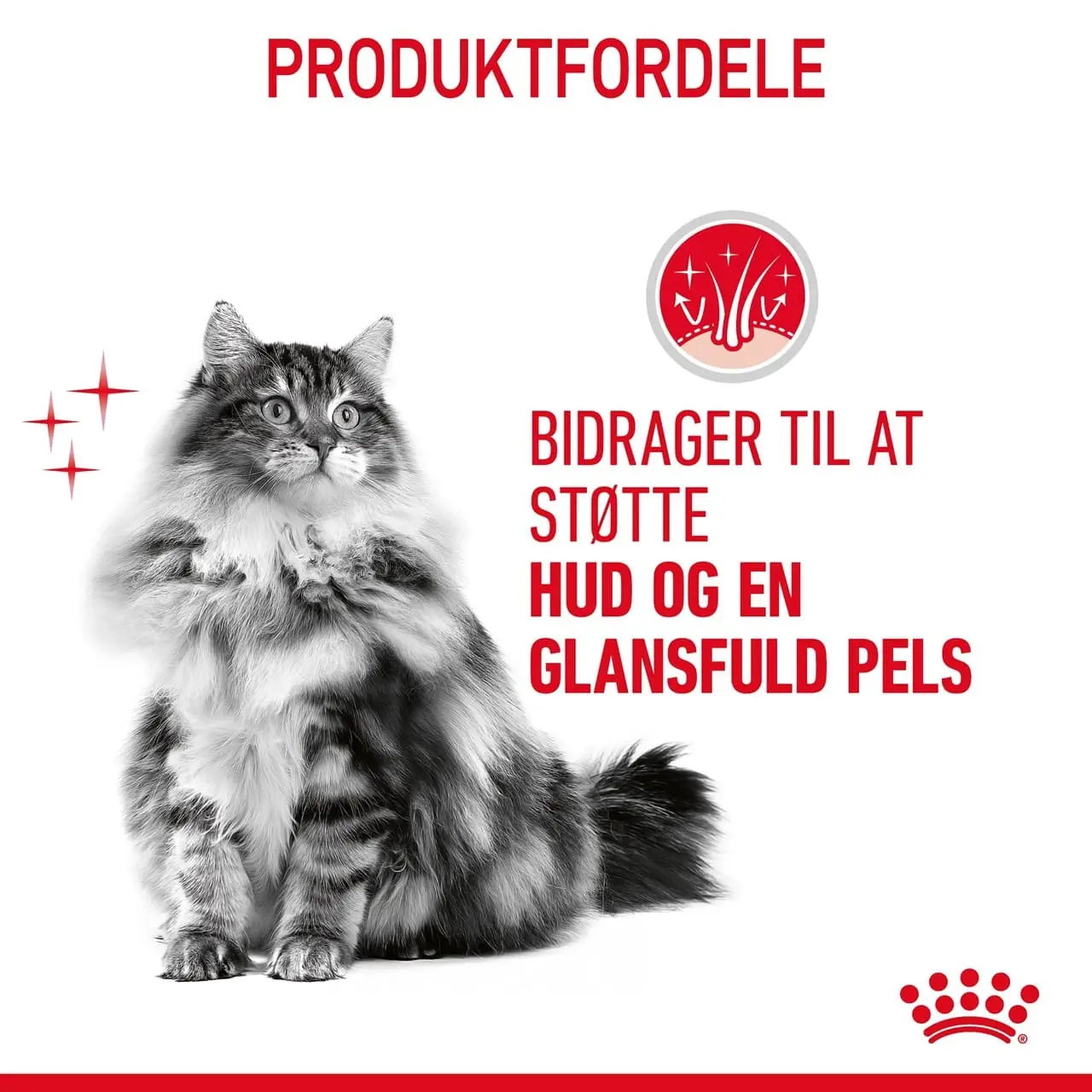Royal Canin Hair and Skin 4 kg