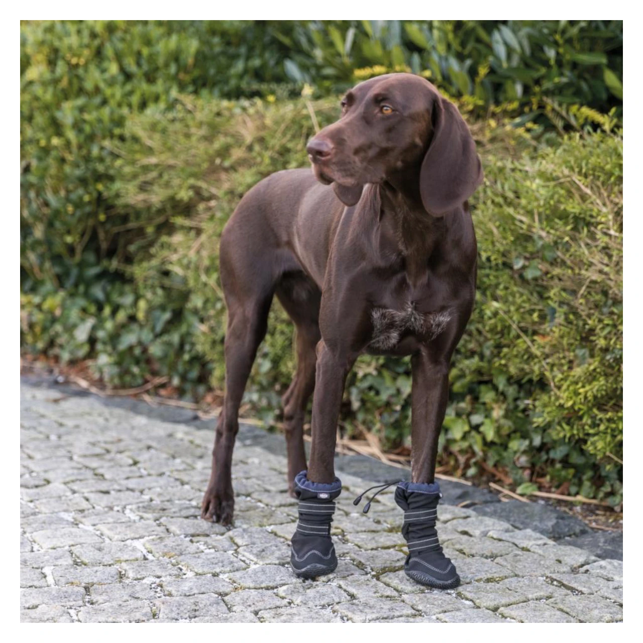 Trixie Walker Active Long hundesko sort M 2 stk