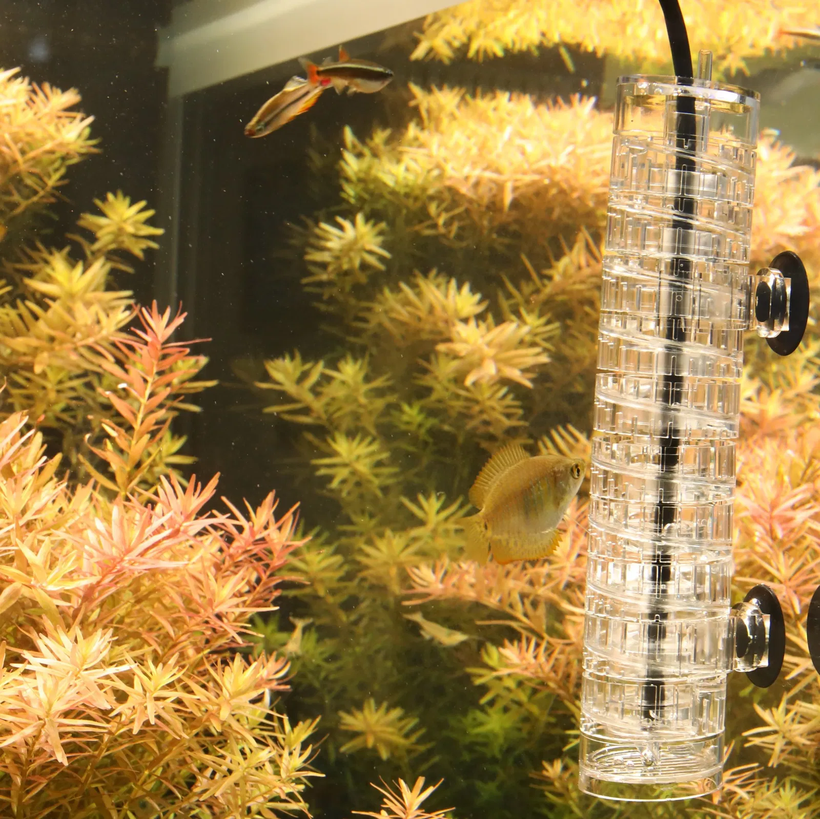 JBL Proflora CO2 Taifun Spiral 10