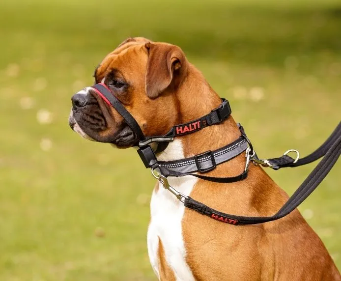 Halti OptiFit snudesele til hund stor