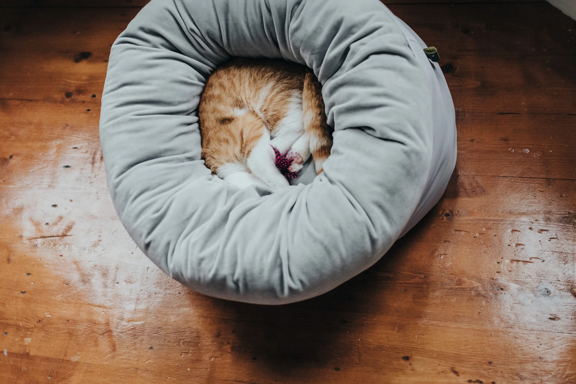 Hunter Miranda donut seng Ø 50 cm Lysegrå