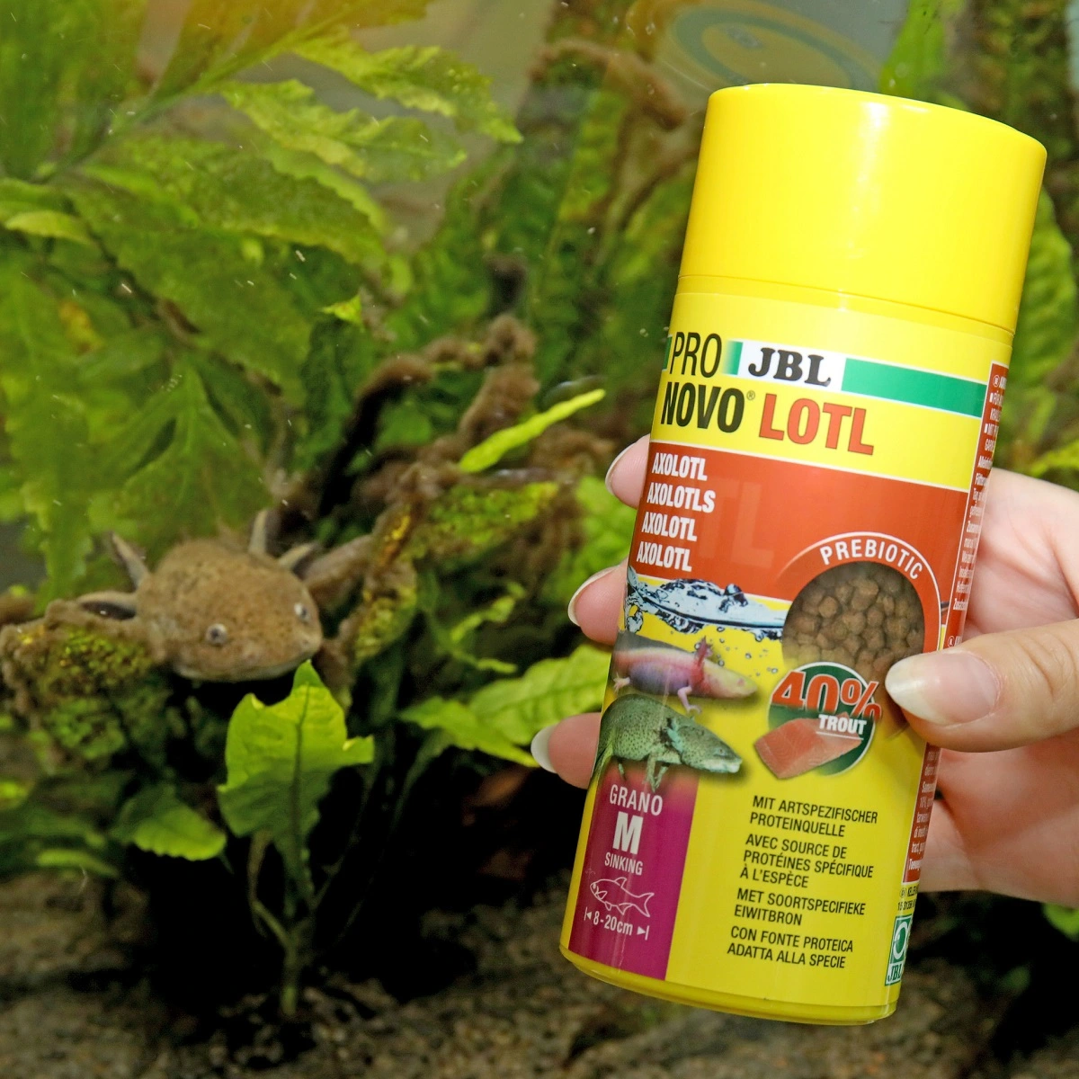 JBL NovoLotl M 250 ml (Til Axolotl)