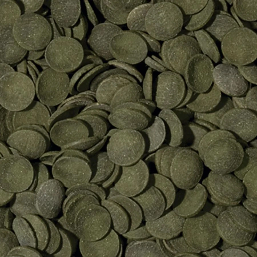 Tropical Green Algae Wafers 1000 ml 450 g