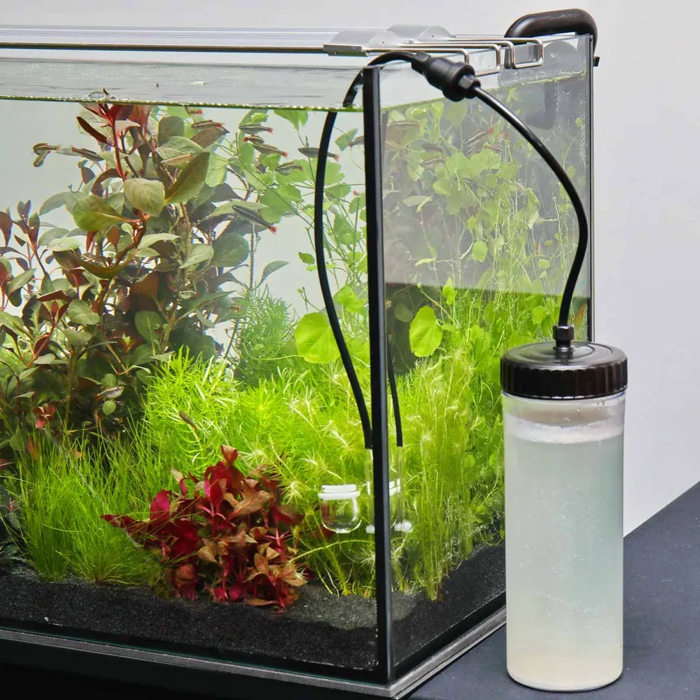 JBL Proflora Co2 Basic Bio Set