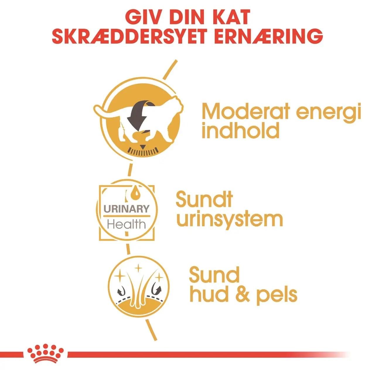 Royal Canin British shorthair Sovs - vådfoder 85 g