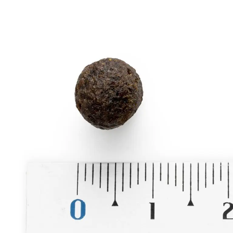 Natura Diet Daily Mini Hundefoder 3 kg - Sund ernæring til små hunde