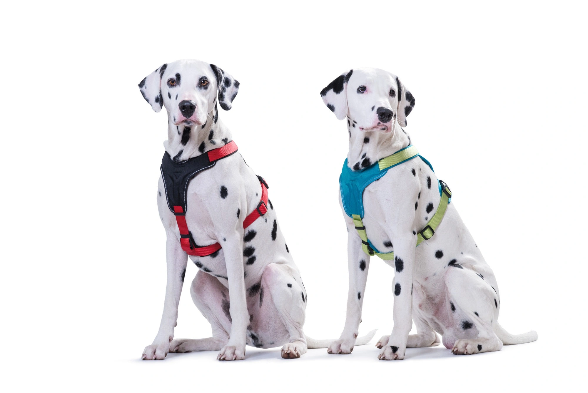 Hunter hundesele Neopren Rød XL længde 73-94 cm 2,5 cm - blød og stabil komfort