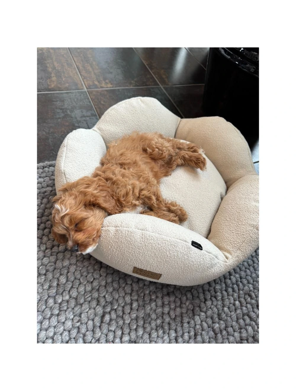Nordic Paws Flora hundeseng Medium 75 x 75 cm Beige