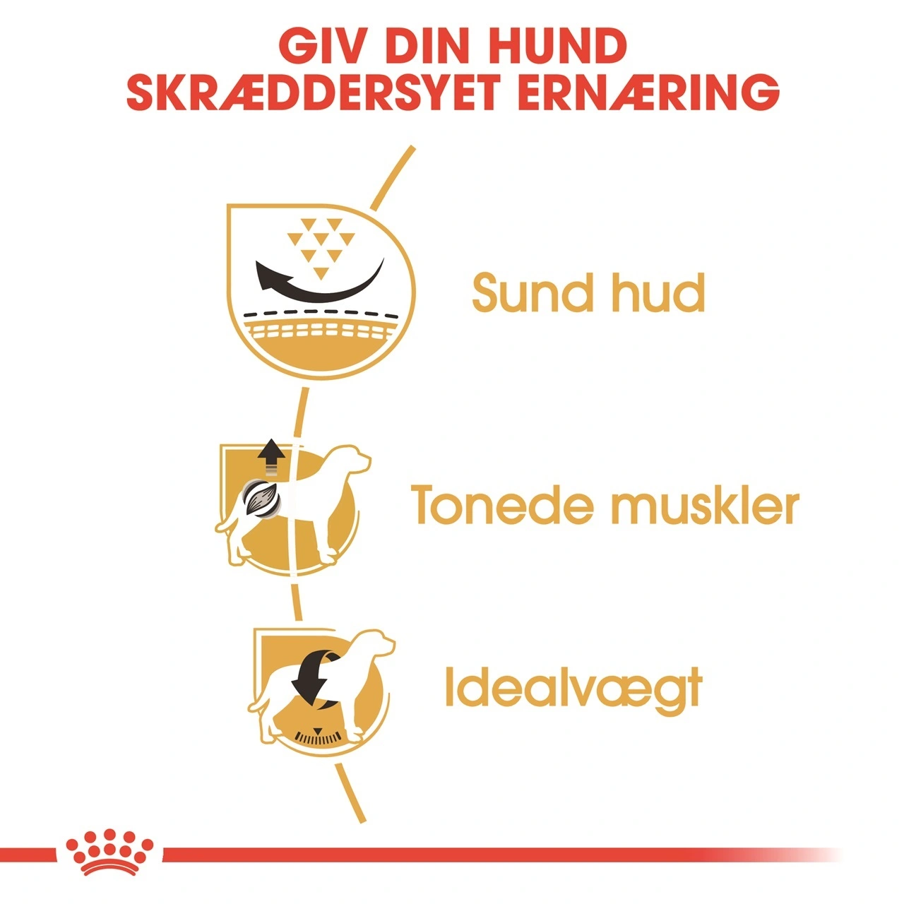 Royal Canin Pug Adult 1,5 kg - tørfoder til mops