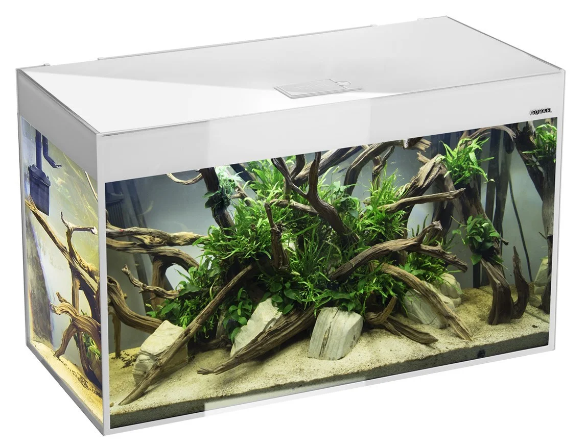 AquaEl Glossy akvarie i Hvid 120 cm 260 Liter