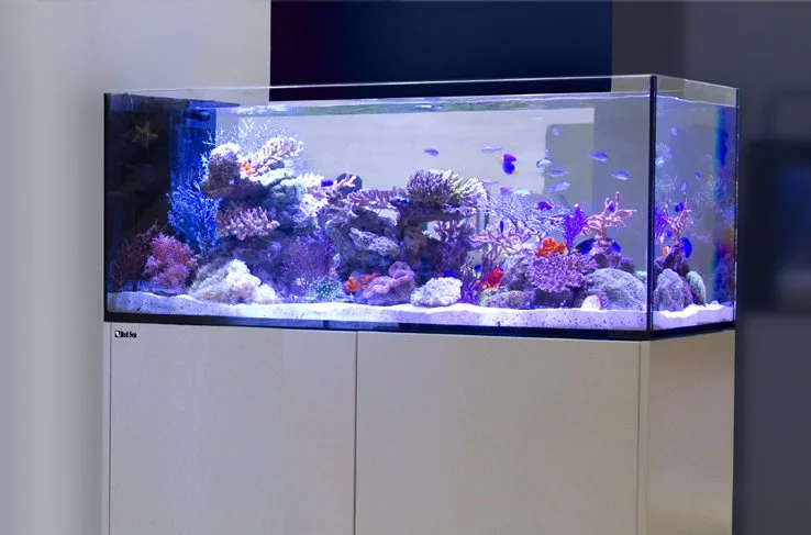 Red Sea Akvarium sæt Peninsula P500 Deluxe Hvid