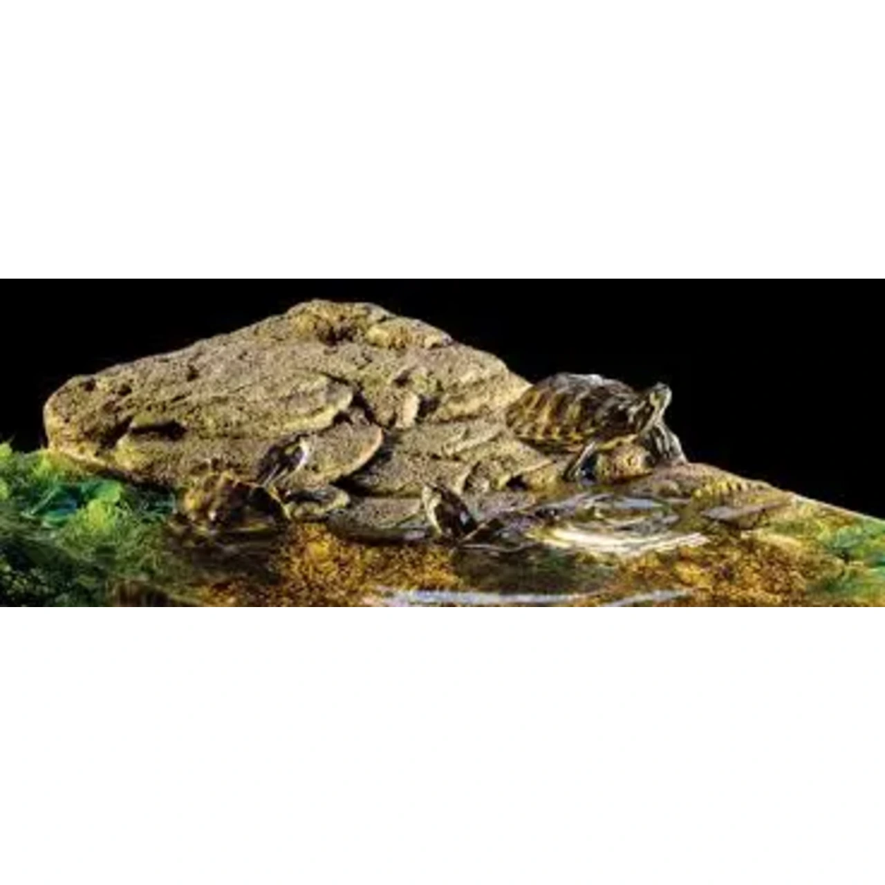 Exo Terra Turtle Bank med magnet medium