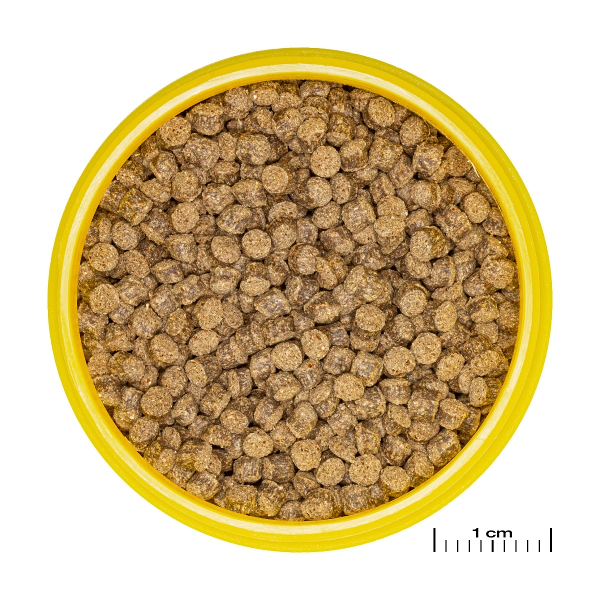 JBL ProNovo Slørhale Foderpille Grano M 250 ml Click