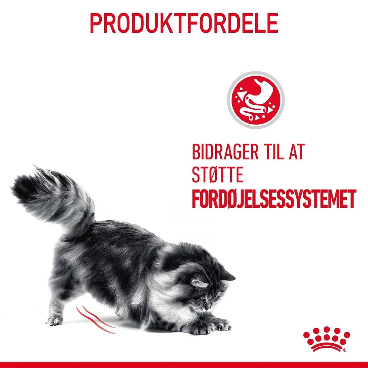 Royal Canin Digestive Care 4 kg
