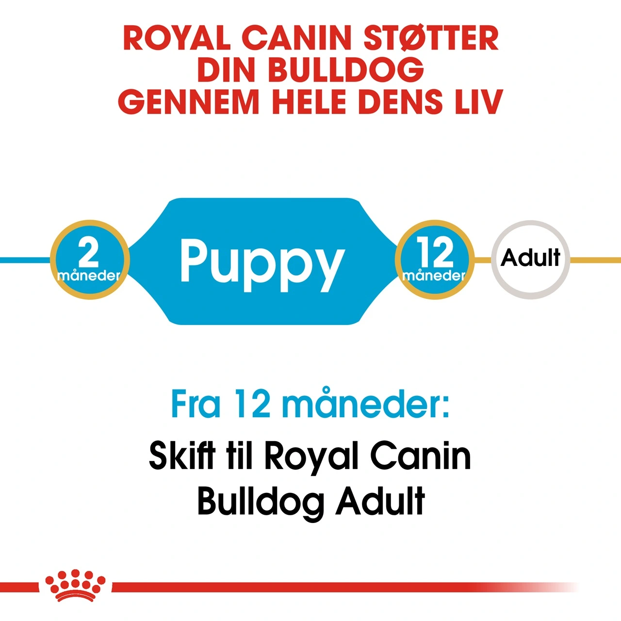 Royal Canin Bulldog Puppy 12 kg - tørfoder til hvalpe