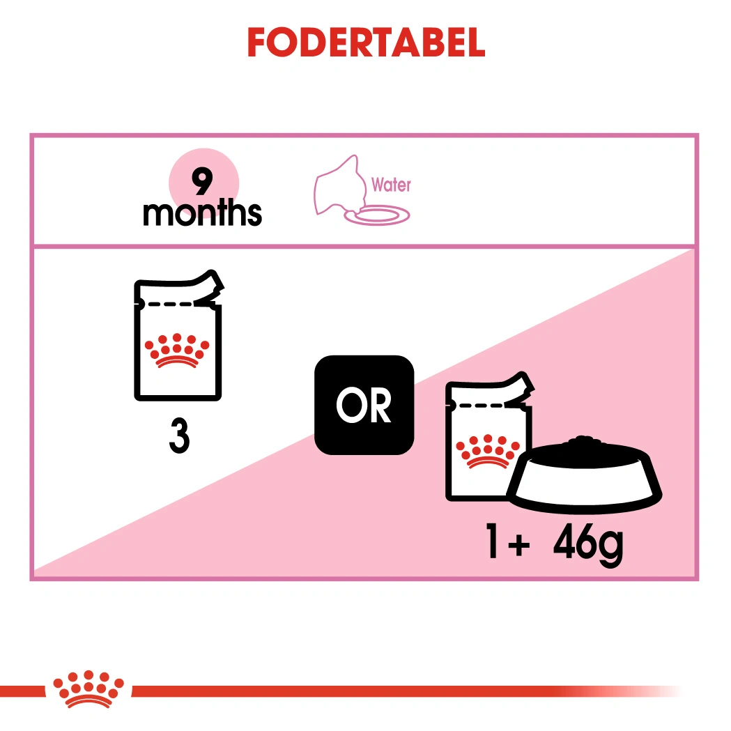 Royal Canin Second Age Kitten Sterilised  Sovs - vådfoder 85 g