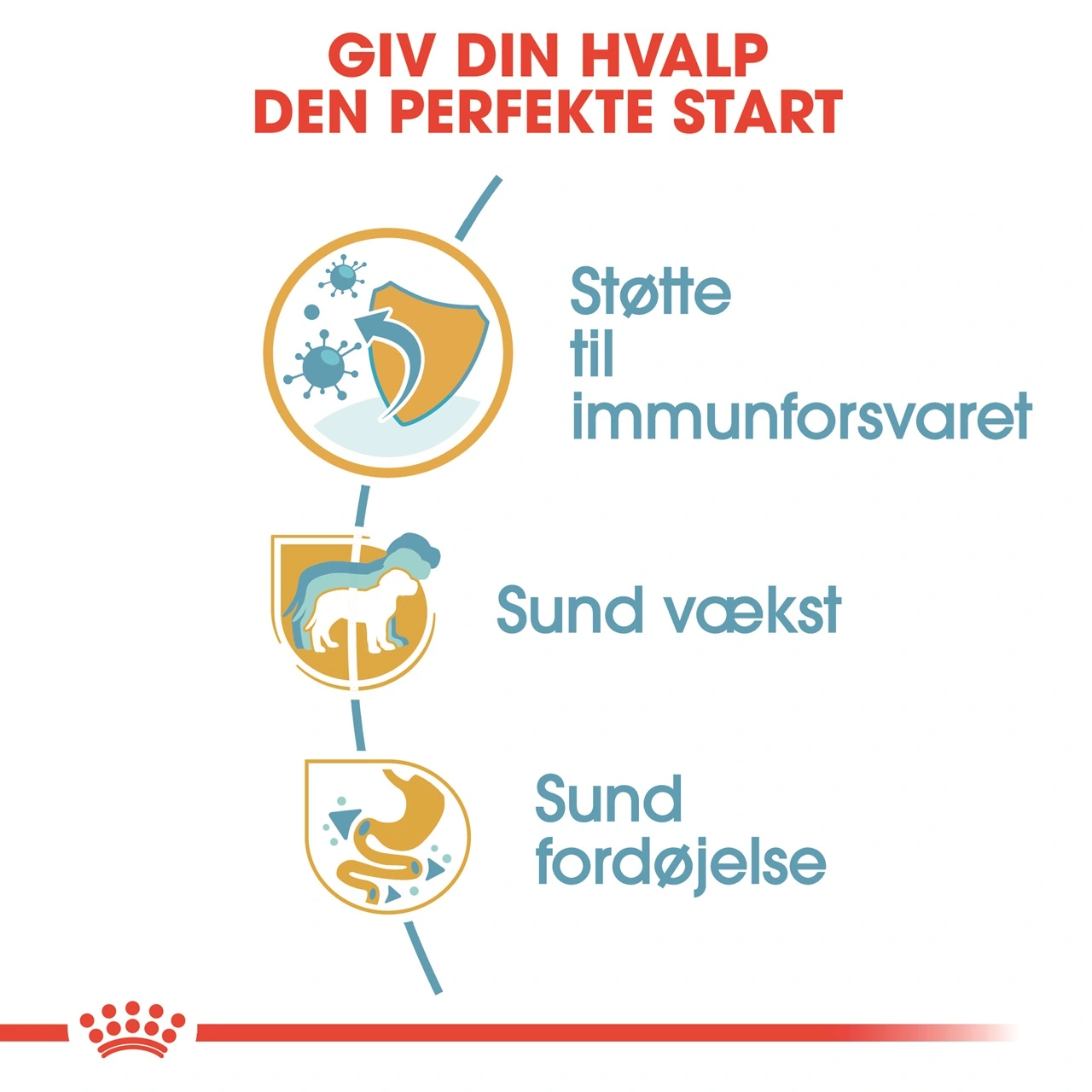 Royal Canin Jack Russell Puppy 1,5 kg - hvalpefoder til energi og vækst