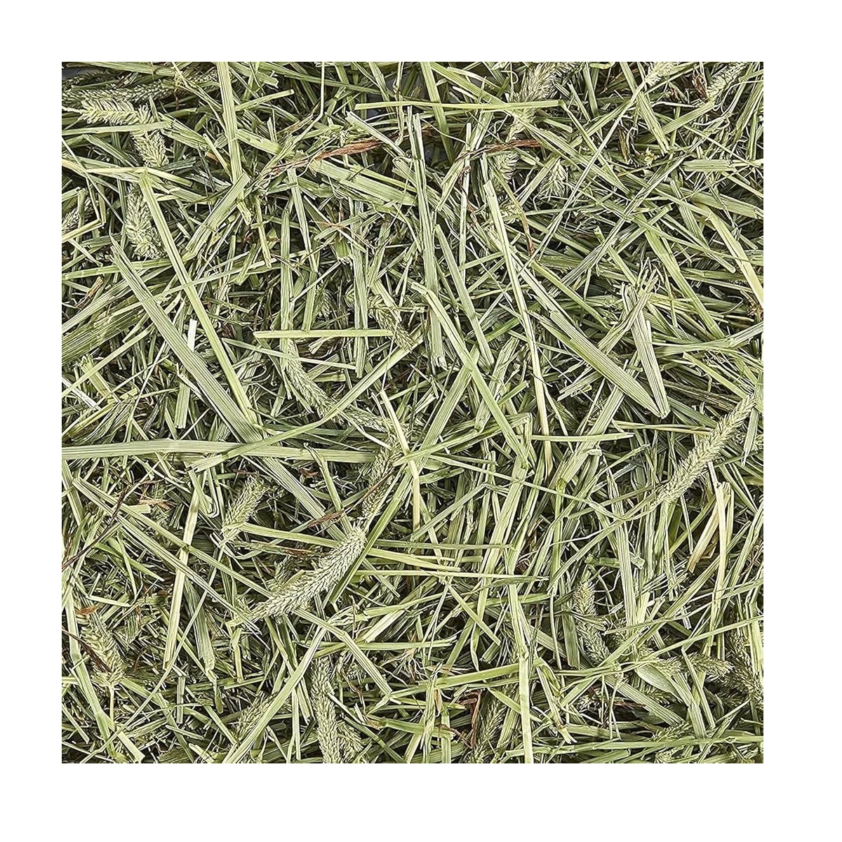 Chipsi Sunshine Timothy Hø 800 g