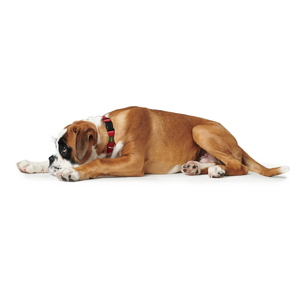 Hunter Vario Plus Halsbånd Rød S 30-45 cm - Komfortabelt og justerbart hundehalsbånd