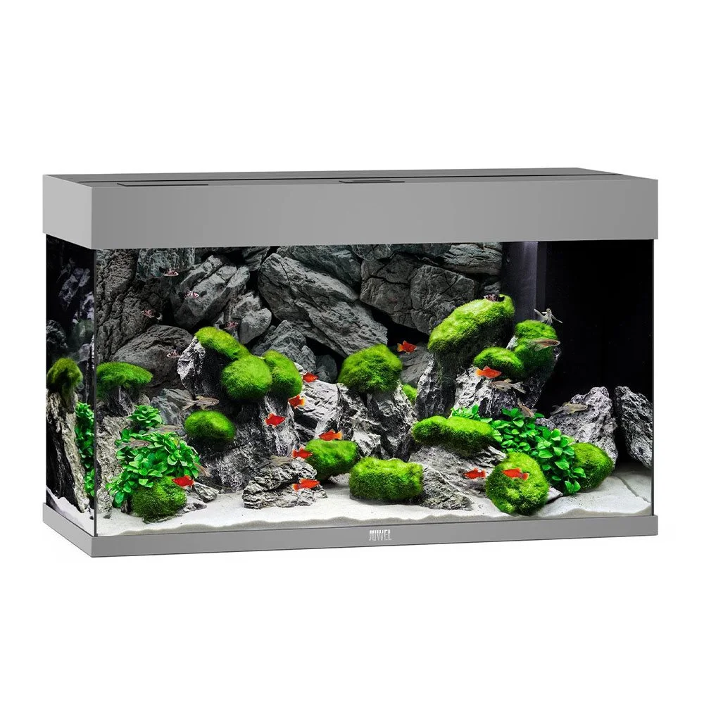 Juwel Akvarium Rio 125 Grå