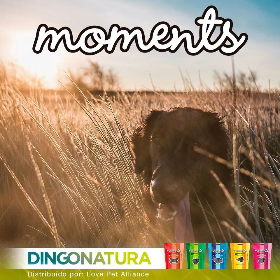 Moments hundesnack Kylling og Frugt 60 g - fuldfoder hundegodbidder