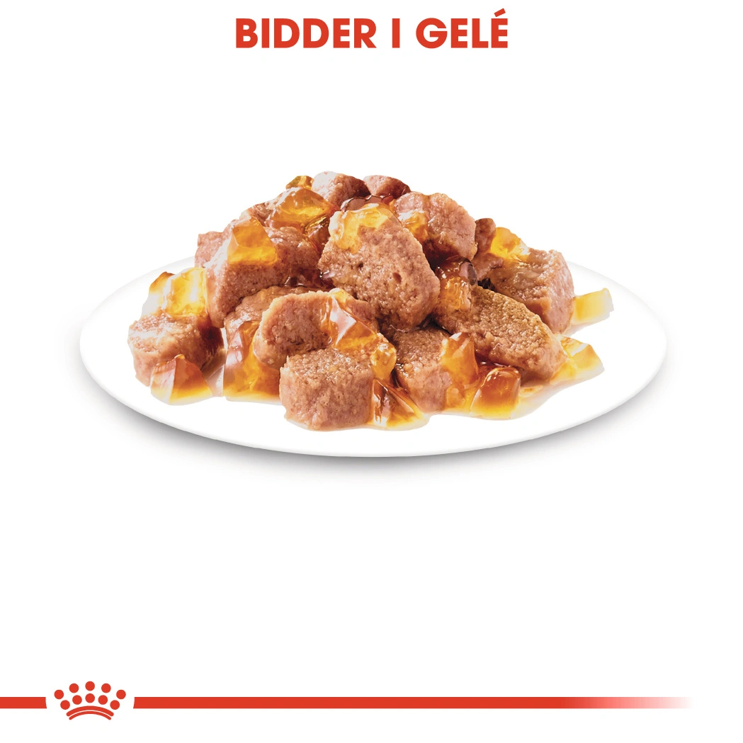 Royal Canin Hair & Skin Jelly - vådfoder 85 g