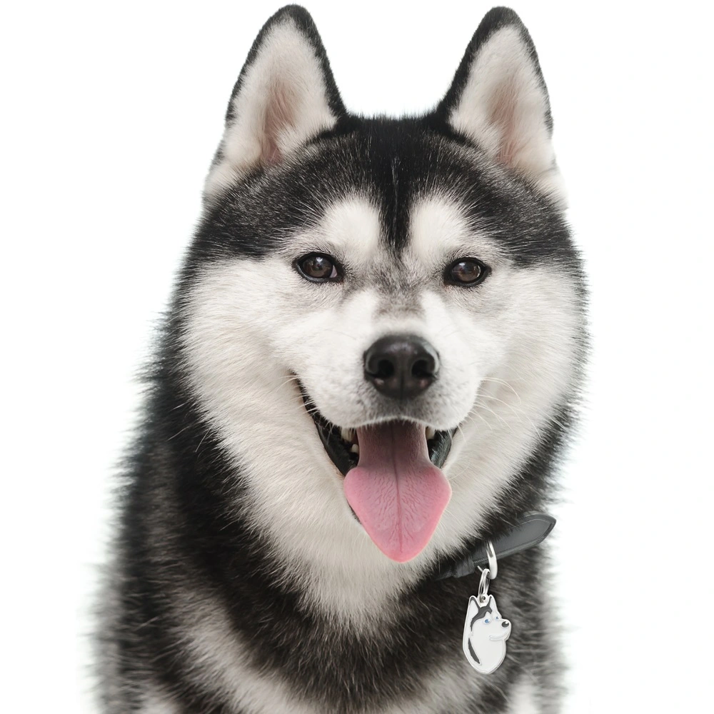 My Family Hundetegn Friends Siberian Husky Sort
