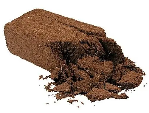 Exo Terra Plantation Soil 650 g x 3
