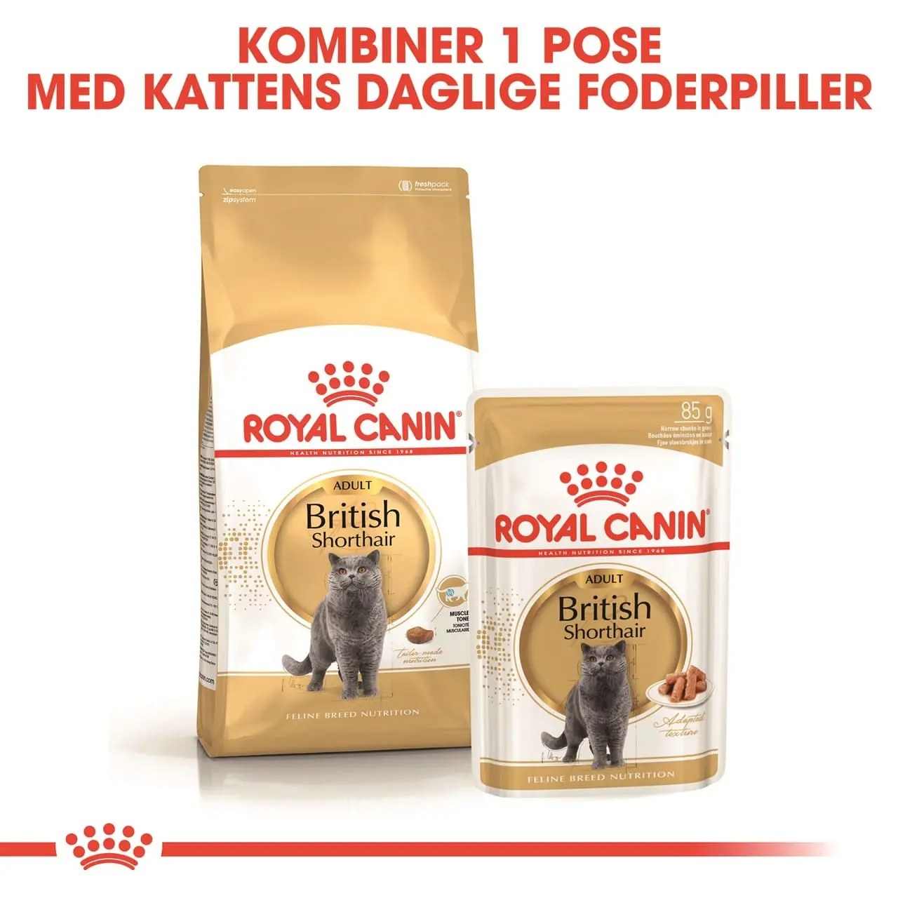 Royal Canin British shorthair Sovs - vådfoder 85 g