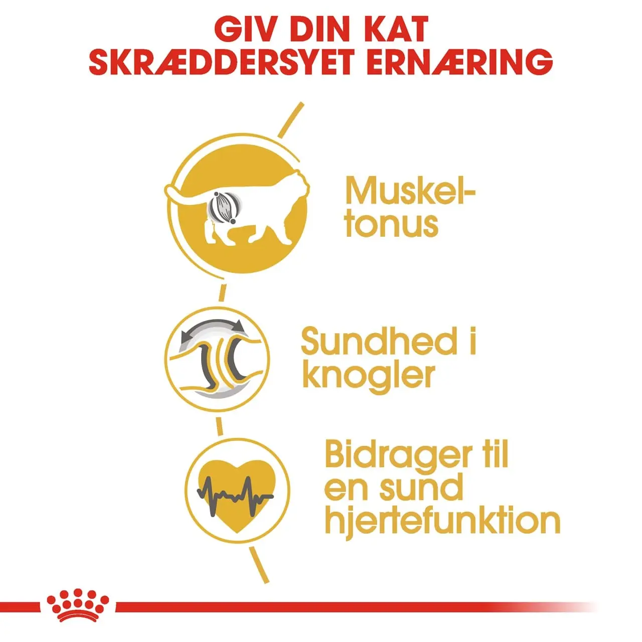 Royal Canin British shorthair 10 kg