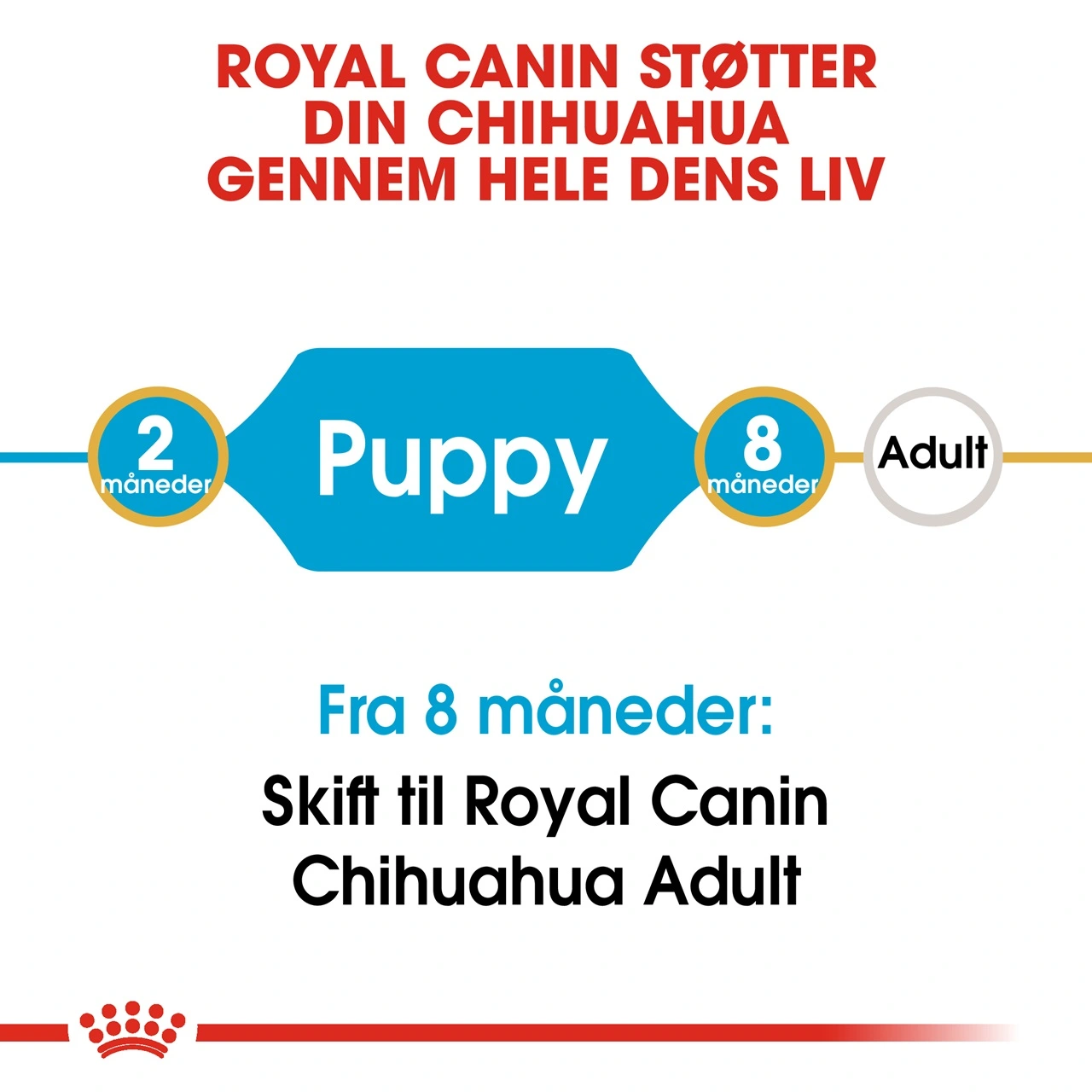Royal Canin Chihuahua Puppy 1,5 kg - hvalpefoder