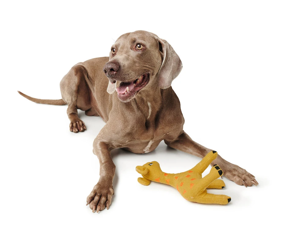Hunter Eiby Giraf M - bamse til mellemstore hunde
