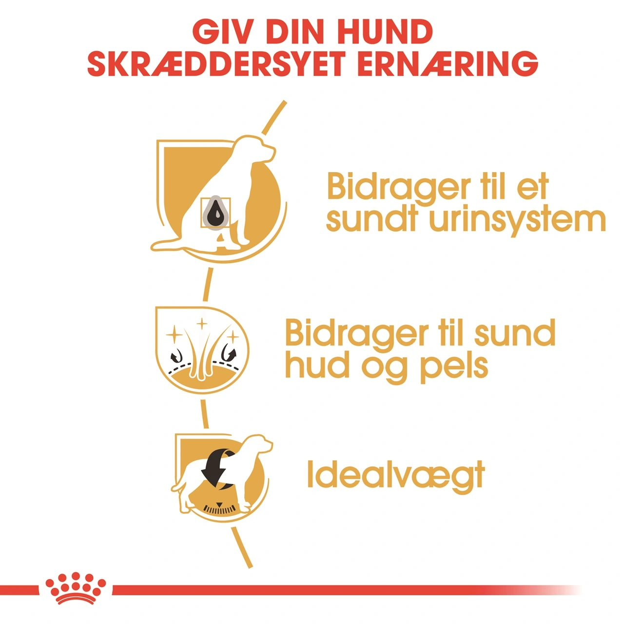 Royal Canin Bichon Frise Adult 1,5 kg - tørfoder til voksne hunde