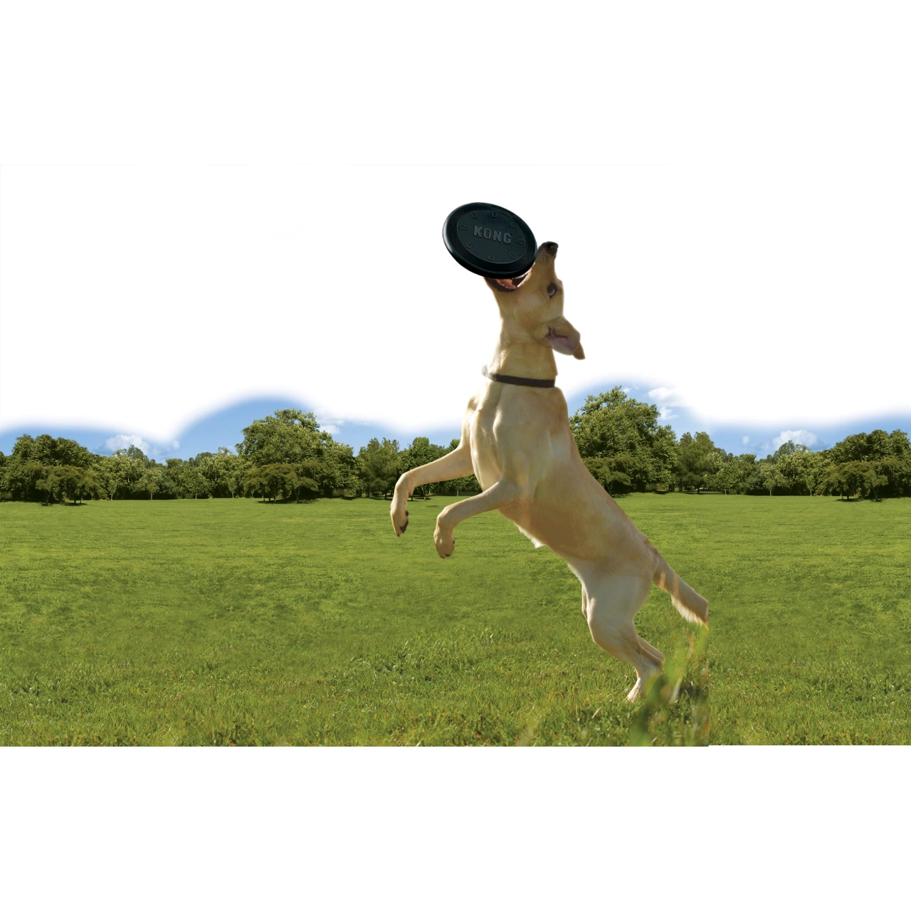 KONG Extreme Frisbee sort - ekstra slidstærk frisbee i naturgummi