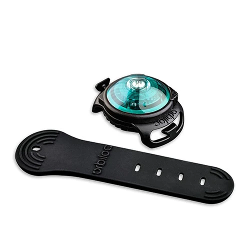 Orbiloc hundelygte Turquoise