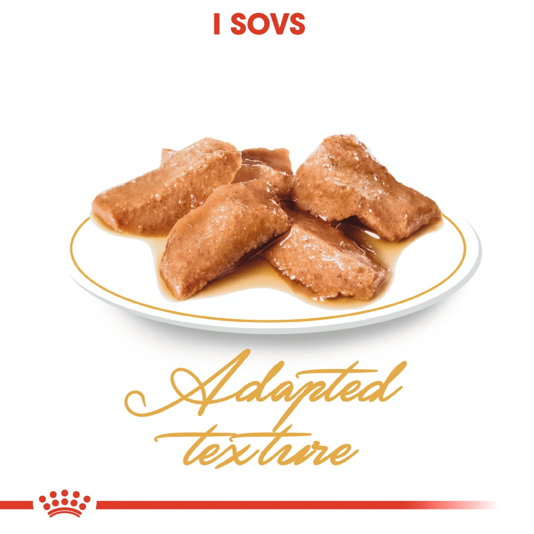 Royal Canin Maine coon Sovs - vådfoder 85 g
