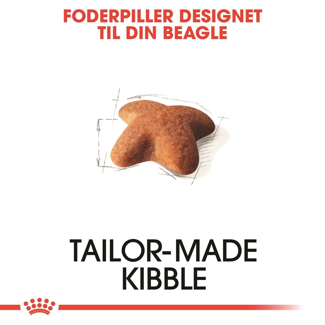 Royal Canin Beagle Adult 12 kg - tørfoder til voksne hunde