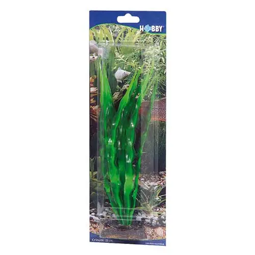 Hobby Crinum 29 cm