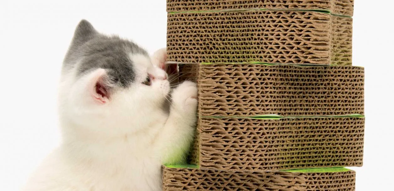 Catit Senses 2.0 Scratcher