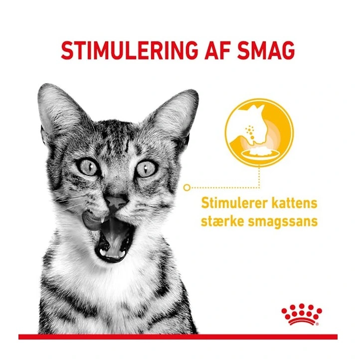 Royal Canin Kattevådmad Sensory Taste Sovs Adult